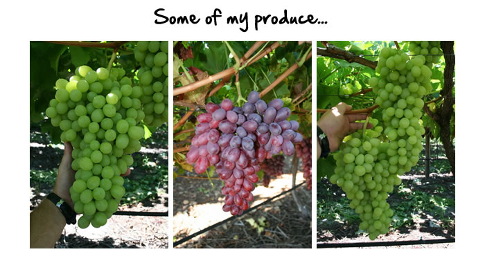 The Complete Grape Growing System