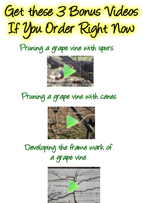 Grape Growing Videos