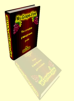 How to grow grapes