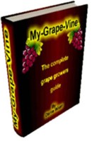 growing grapes