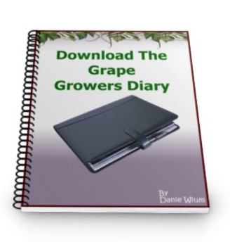 How To Grow Grapes