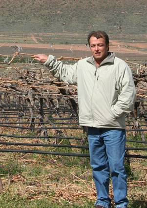 The Grape Guy