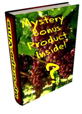 Mystery Product
