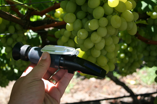 refractometer