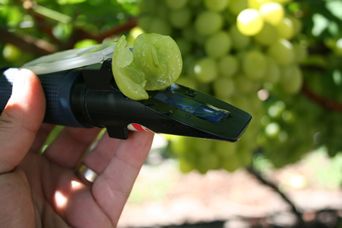 refractometer